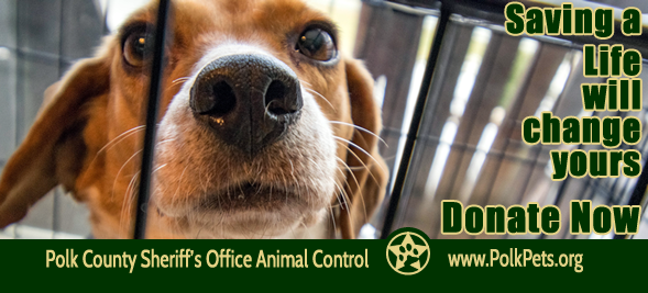 Donate - Animal Control Donate - Animal Control