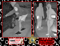suspects