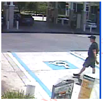 Fraud Suspect
