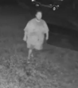 Suspect of tailgate theft