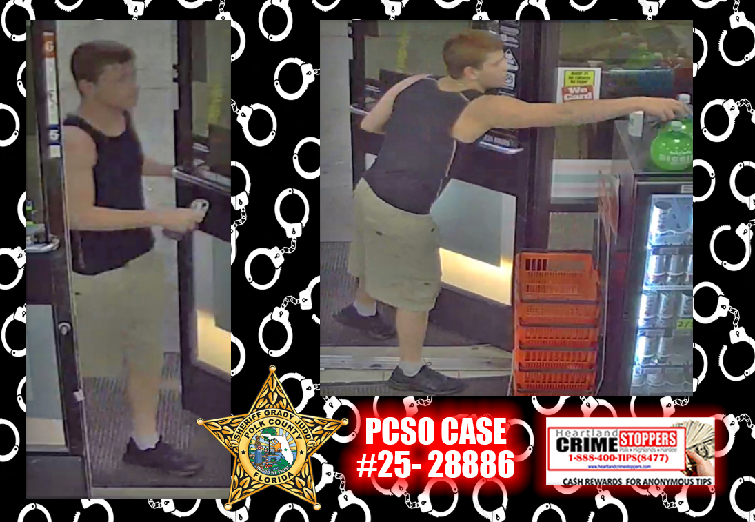 Petit theft at 7-11 in Winter Haven
