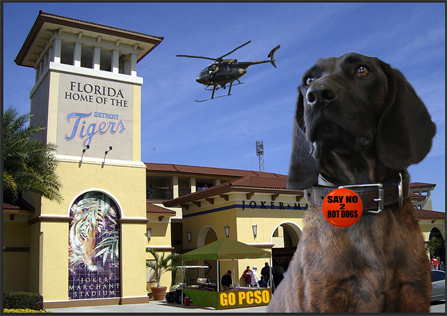 Dasha and the Hot Dogs Dasha and the Hot Dogs